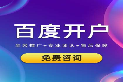 案例解析：揭秘高效竞价推广技巧